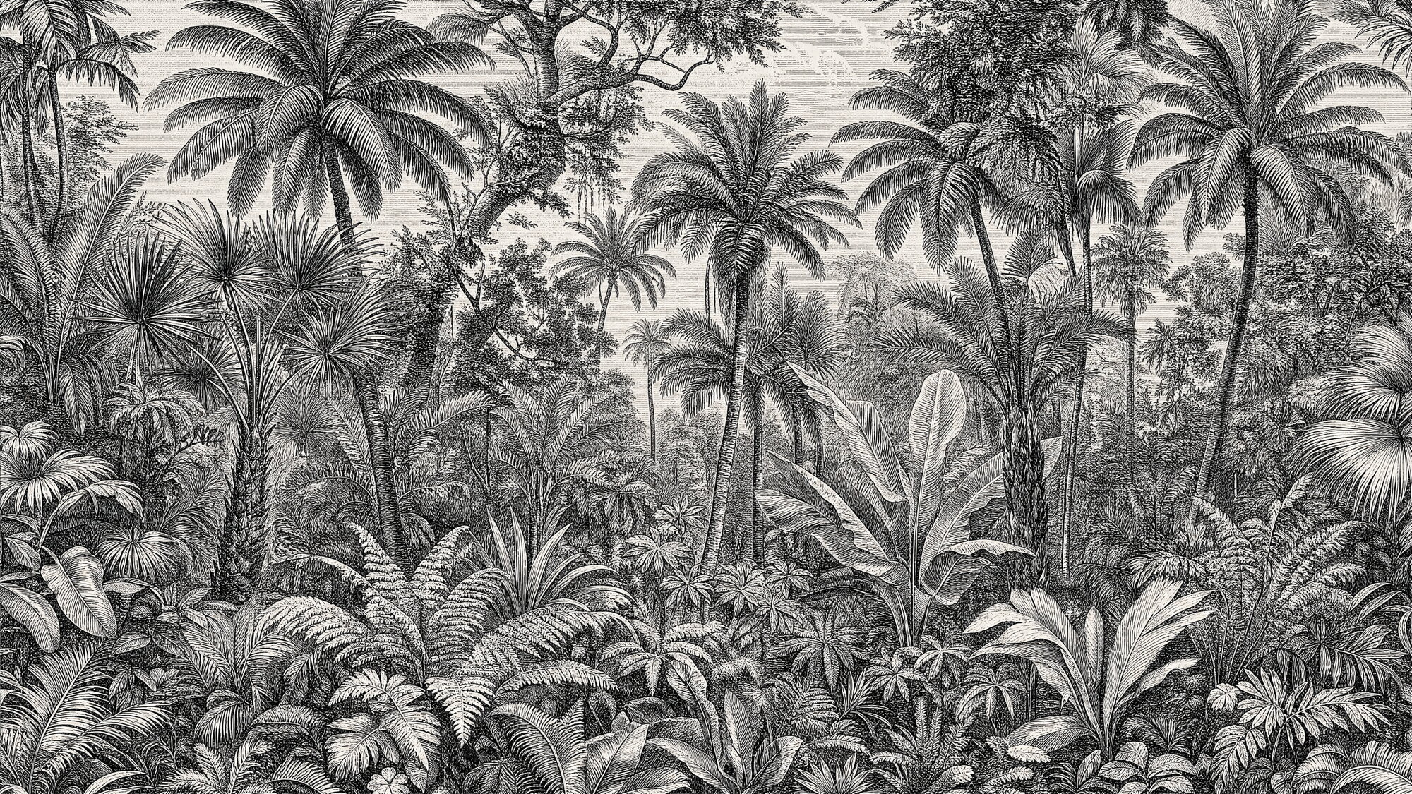 Papier peint gravure forêt tropicale vintage monochrome