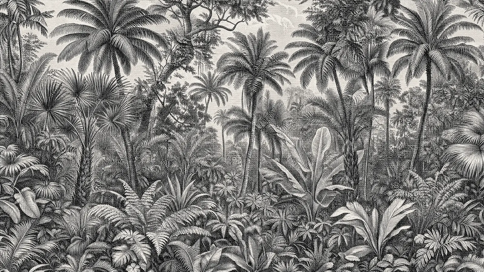 Papier peint gravure forêt tropicale vintage monochrome