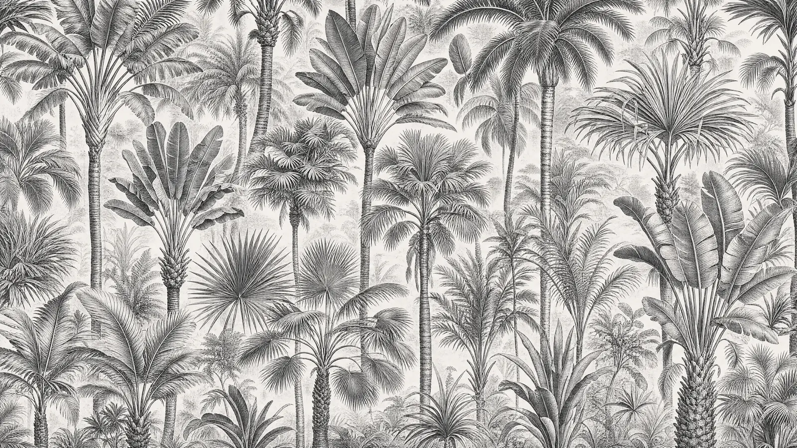 Papier peint gravure palmiers exotiques noir et blanc