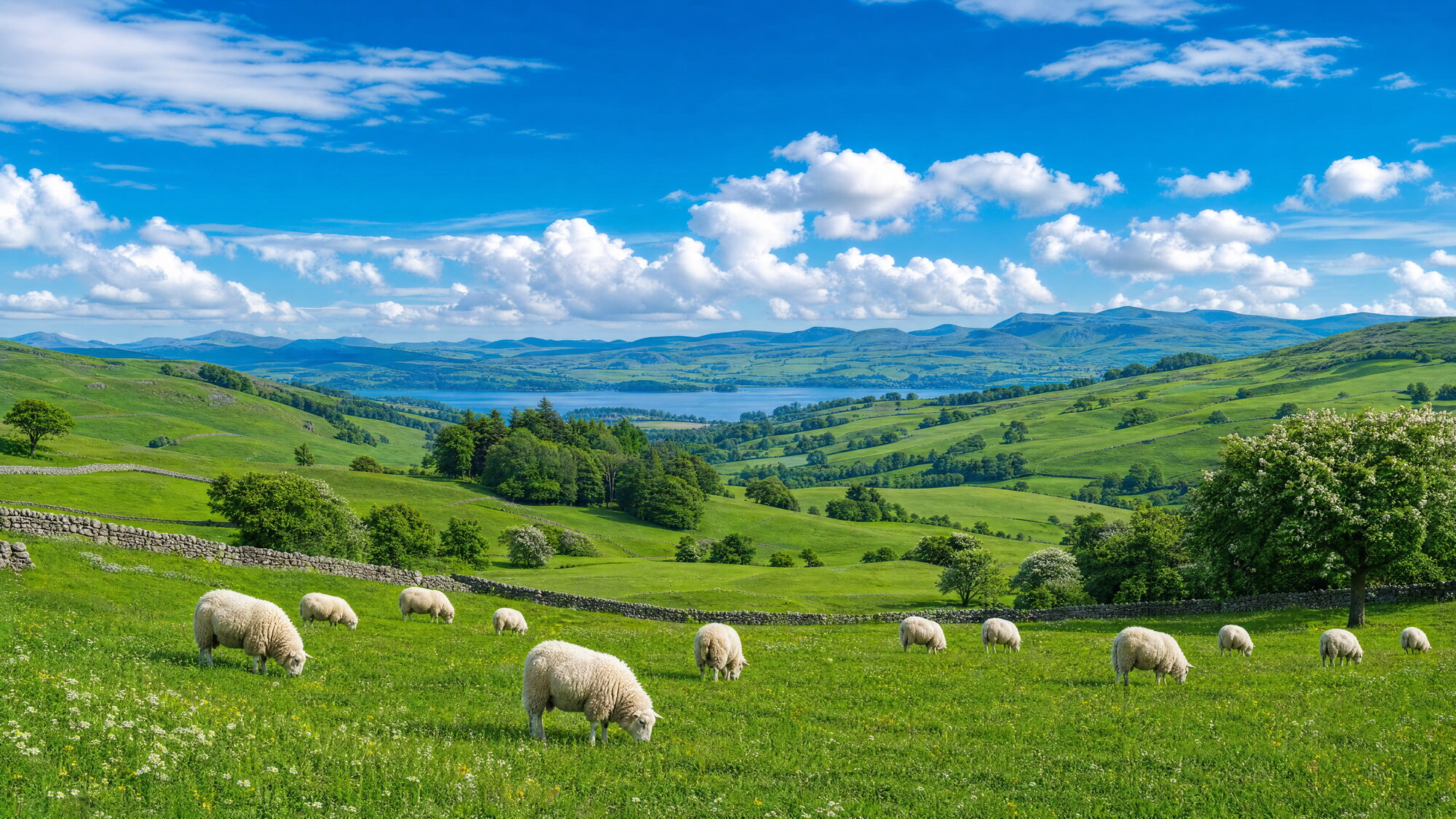 Papier peint panoramique campagne moutons vert bleu