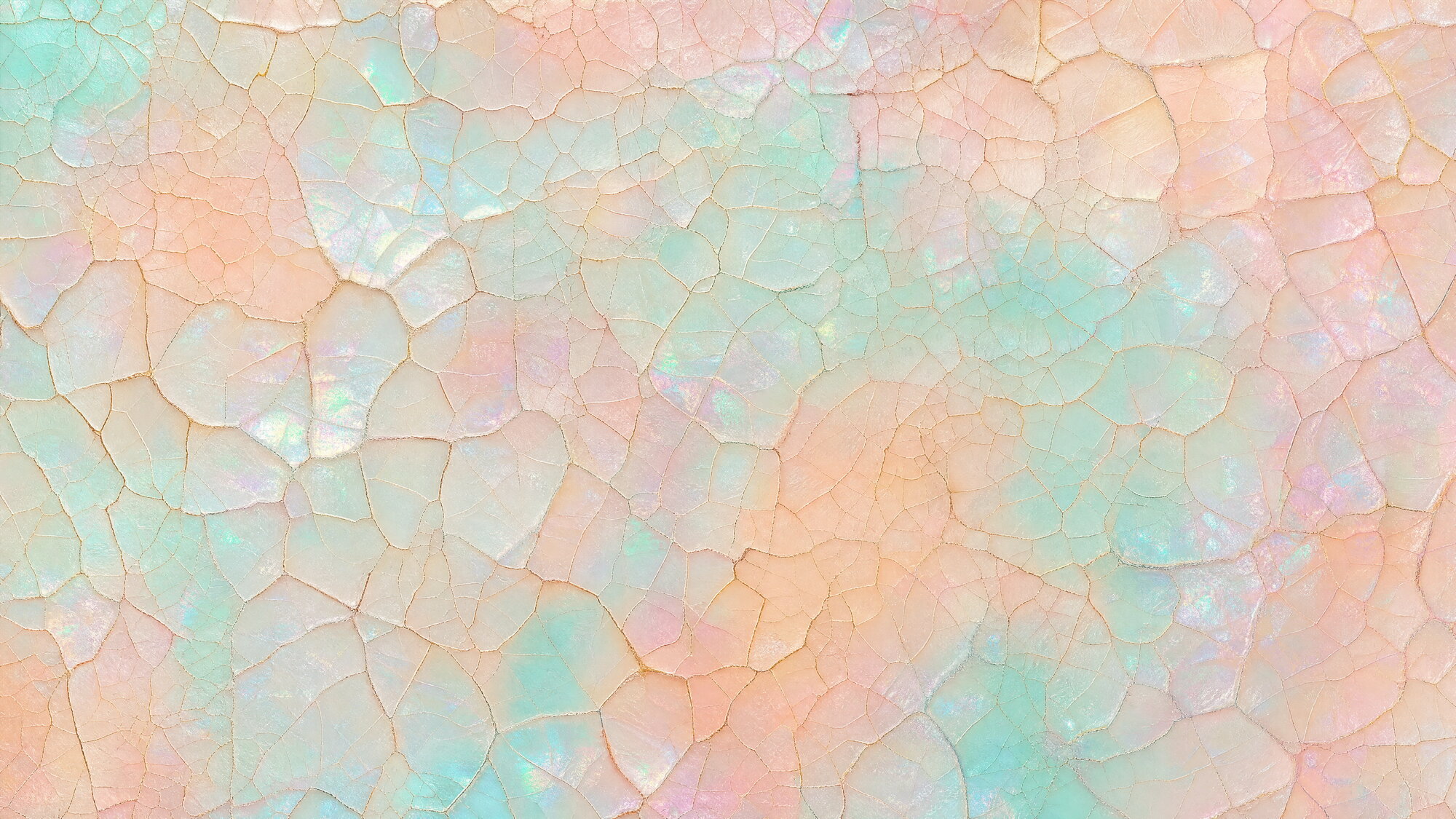 Papier peint panoramique Coquille d’Œuf Craquelée Pastel