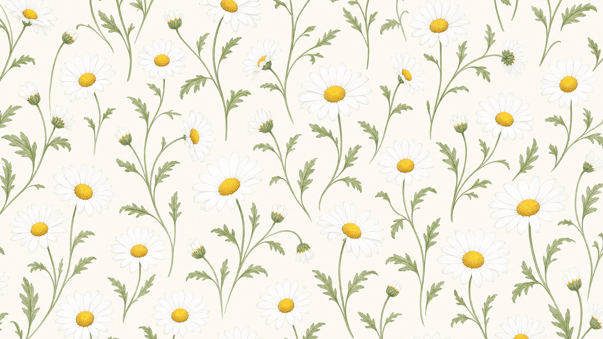 Papier peint paquerette sur mesure