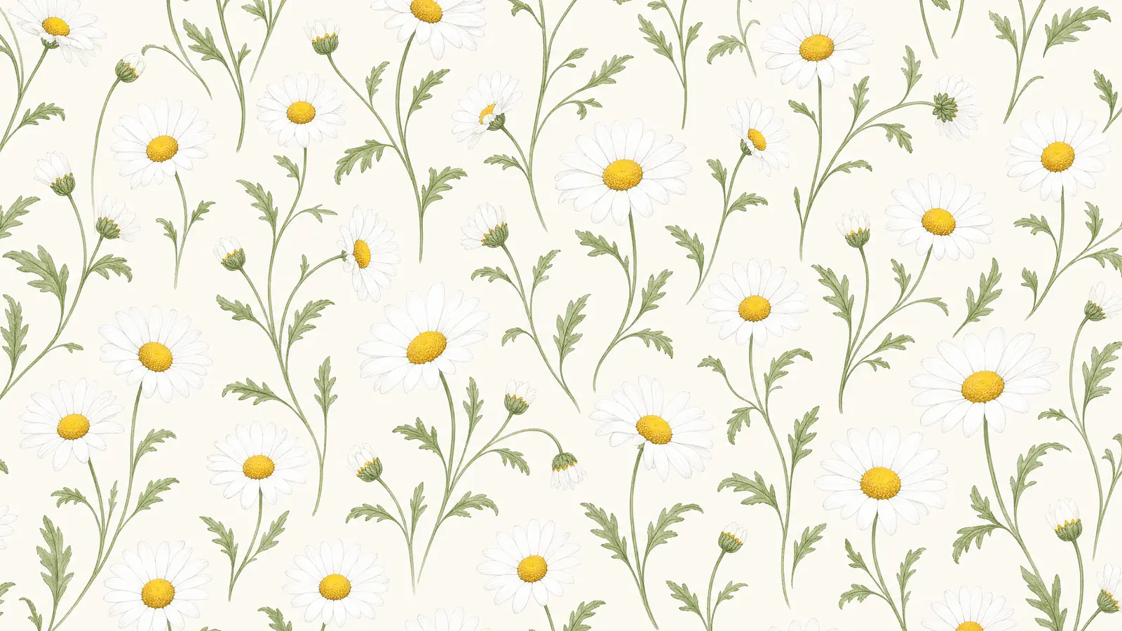 Papier peint paquerette sur mesure