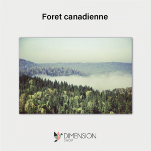 Foret canadienne