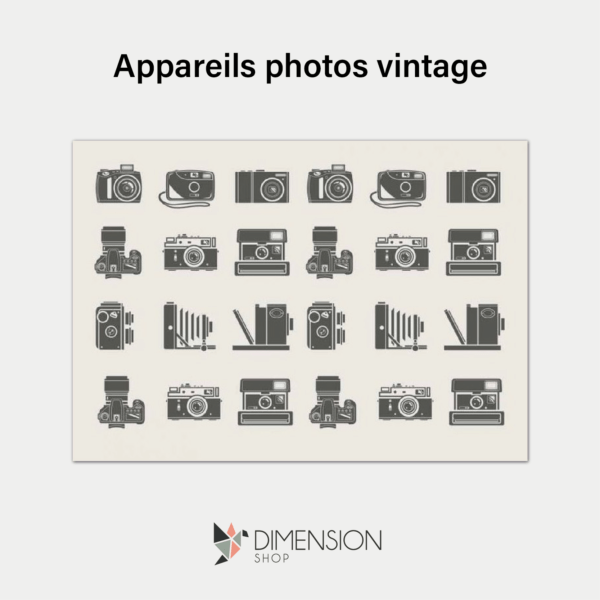 tableau-appareils-photos-vintage