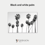 Black and white palm