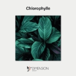 Chlorophylle