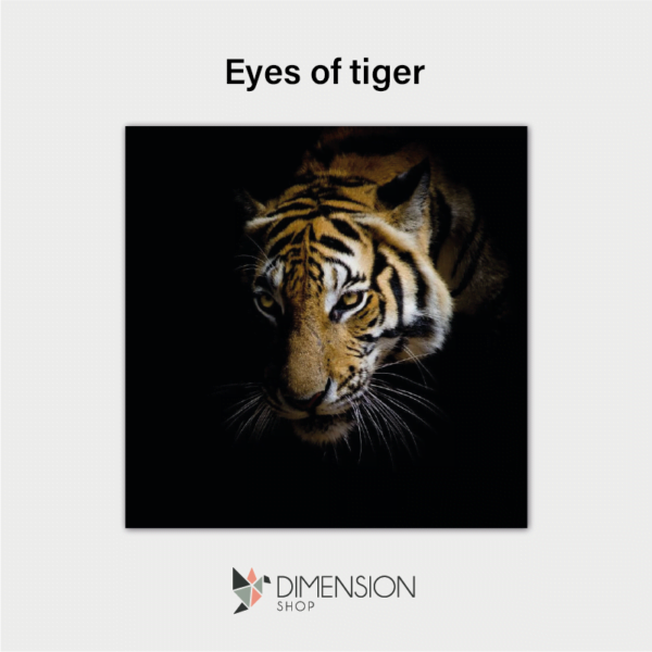tableau-eyes-of-tiger