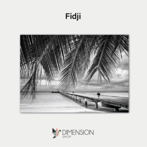 tableau-fidji