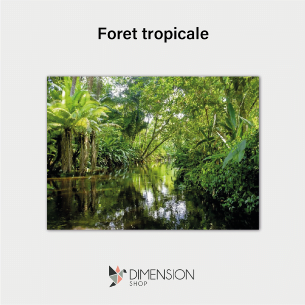 tableau-foret-tropicale