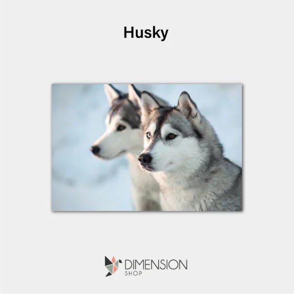 Husky