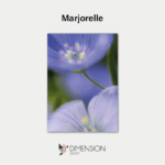 Marjorelle