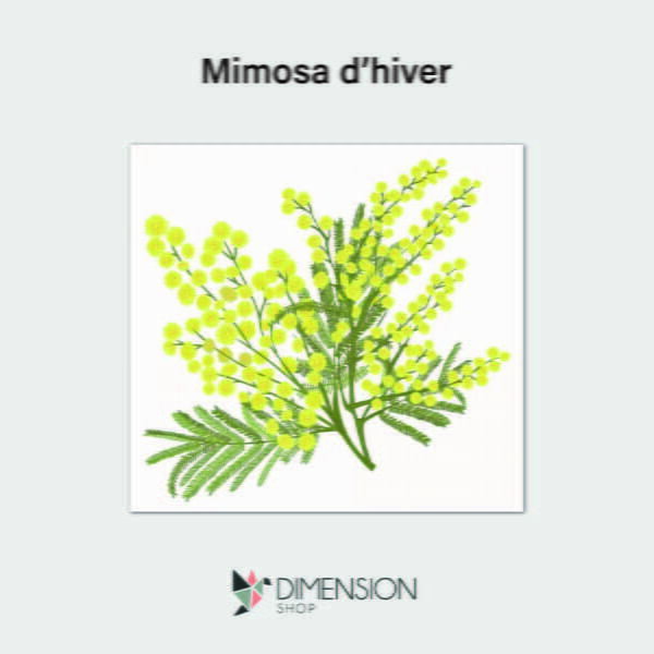 tableau-mimosa-d-hiver