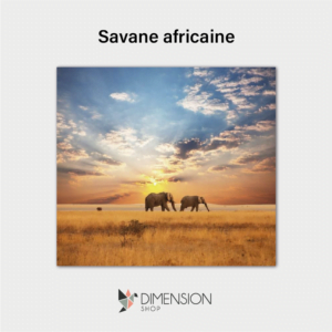 Savane africaine