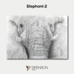 tableau-elephant2-ted-one