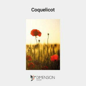 tableau-coquelicot