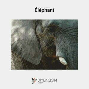 tableau-elephant