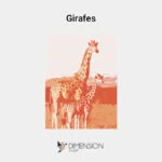 tableau-girafes