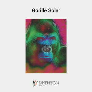tableau-gorille-solar