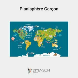 tableau-planisphere-garcon
