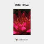 Water-Flower