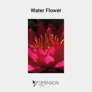 tableau-water-flower